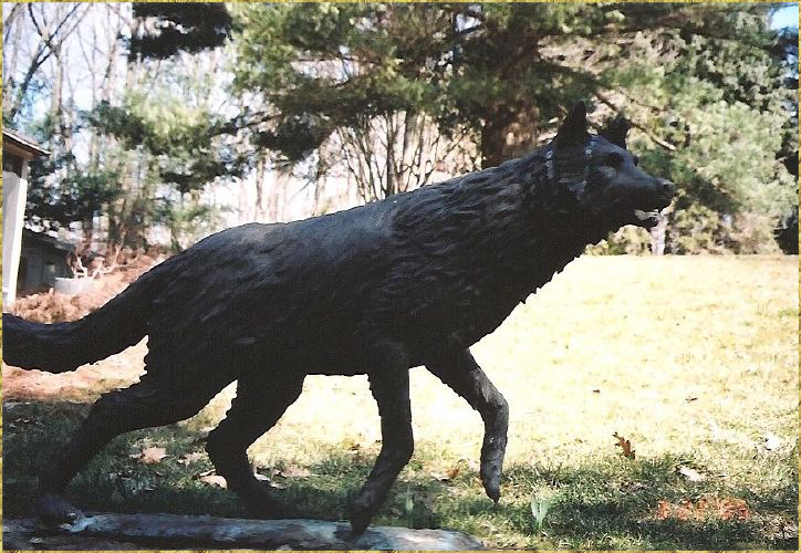 Black Wolf
